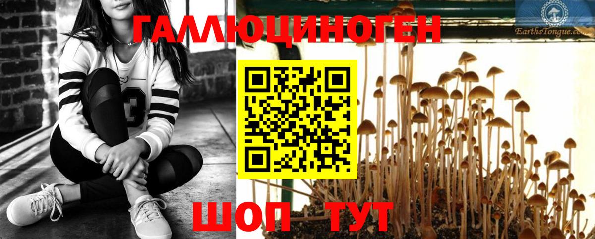 купить  цена  Вход с VPN  Котлас  Псилоцибиновые грибы ЛСД 