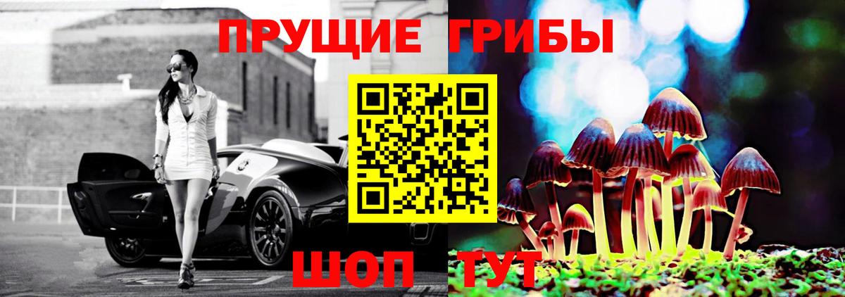 Псилоцибиновые грибы ЛСД Котлас